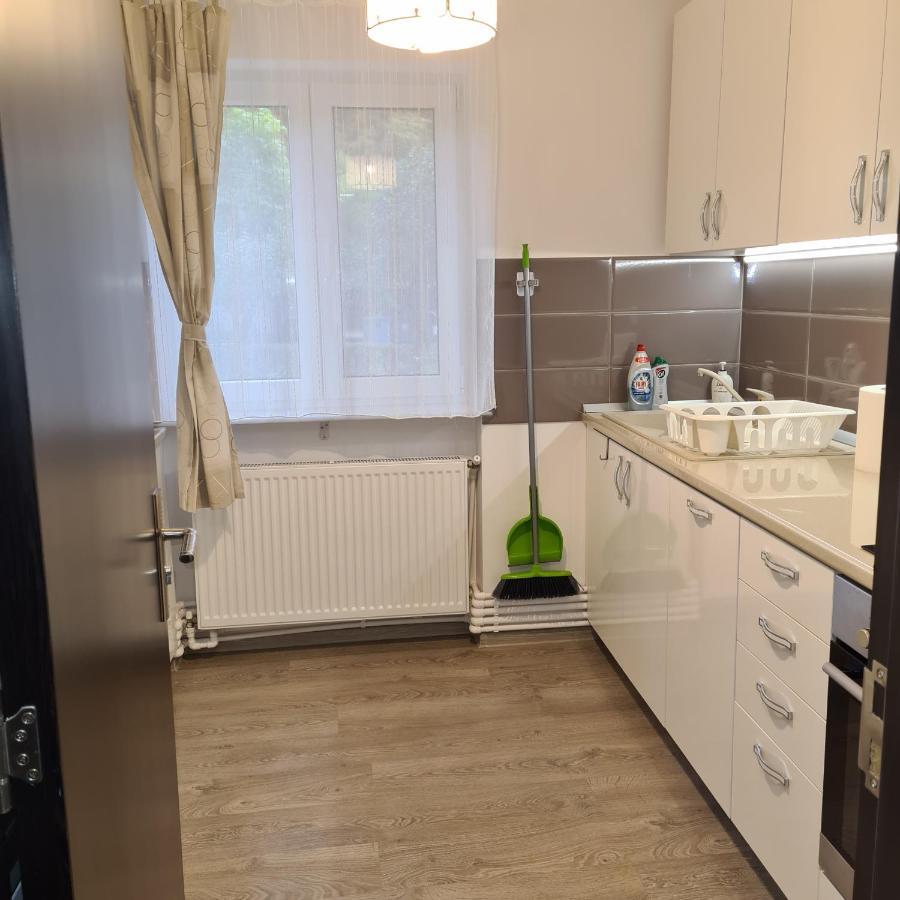 Apartmán Apartament Alina Deva Pokoj fotografie