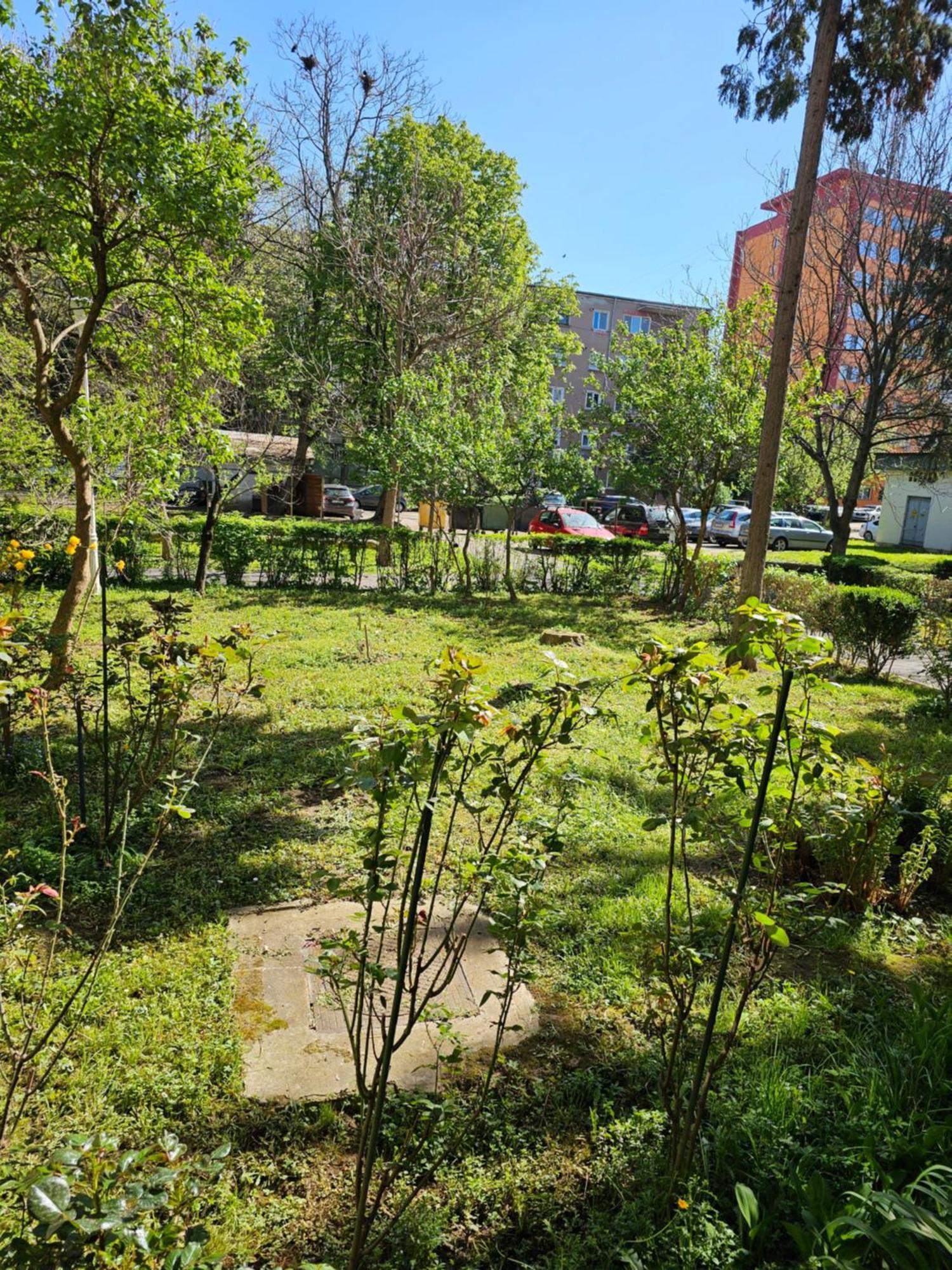 Apartament Alina Deva Exteriér fotografie